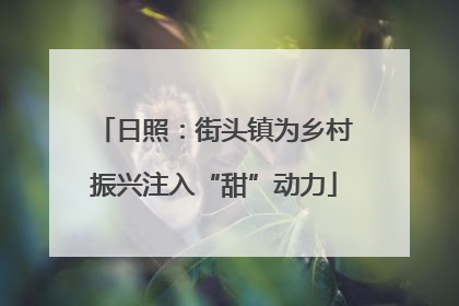 日照：街头镇为乡村振兴注入“甜”动力