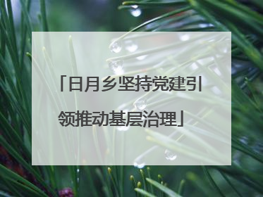 日月乡坚持党建引领推动基层治理