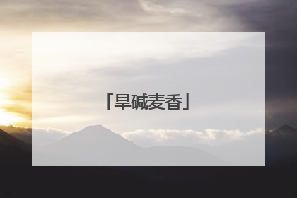 旱碱麦香