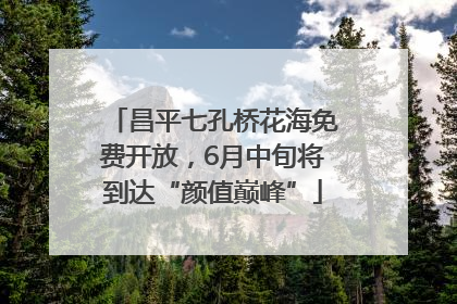 昌平七孔桥花海免费开放，6月中旬将到达“颜值巅峰”
