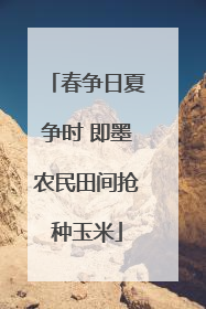 春争日夏争时 即墨农民田间抢种玉米