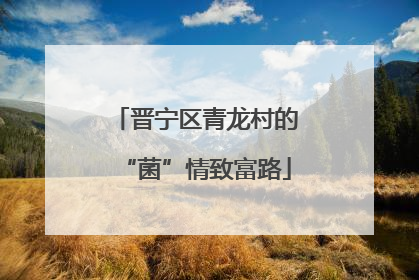 晋宁区青龙村的“菌”情致富路