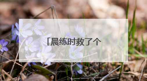 晨练时救了个人，完事还比了个“耶”～真棒！天津王大爷
