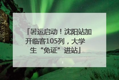 暑运启动！沈阳站加开临客105列，大学生“免证”进站