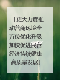 更大力度推动营商环境全方位优化升级加快促进民营经济持续健康高质量发展