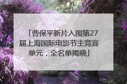曹保平新片入围第27届上海国际电影节主竞赛单元，全名单揭晓
