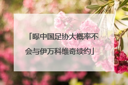 曝中国足协大概率不会与伊万科维奇续约