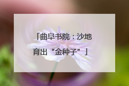曲阜书院：沙地育出“金种子”