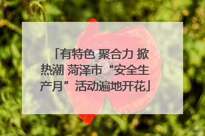 有特色 聚合力 掀热潮 菏泽市“安全生产月”活动遍地开花