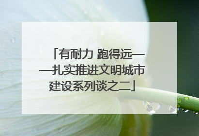 有耐力 跑得远——扎实推进文明城市建设系列谈之二