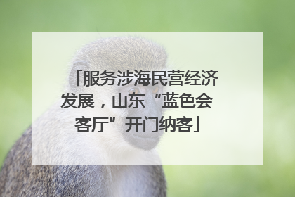 服务涉海民营经济发展，山东“蓝色会客厅”开门纳客