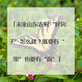未来山东农村“好房子”怎么建？既要有“里”也要有“面”