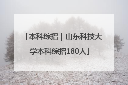 本科综招｜山东科技大学本科综招180人