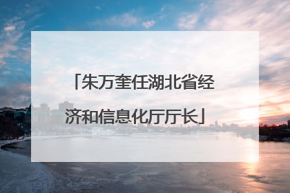朱万奎任湖北省经济和信息化厅厅长