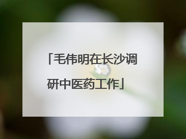 毛伟明在长沙调研中医药工作