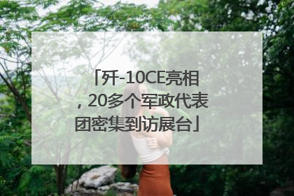 歼-10CE亮相，20多个军政代表团密集到访展台