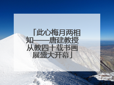 此心梅月两相知——唐建教授从教四十载书画展盛大开幕