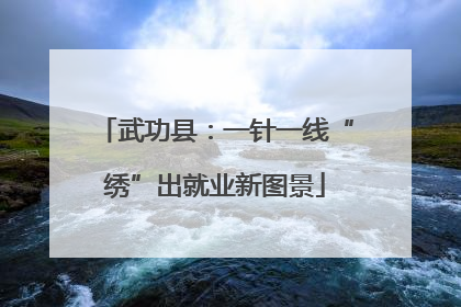 武功县：一针一线“绣”出就业新图景
