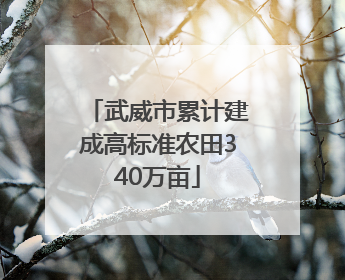 武威市累计建成高标准农田340万亩