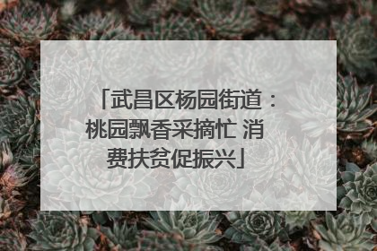 武昌区杨园街道：桃园飘香采摘忙 消费扶贫促振兴