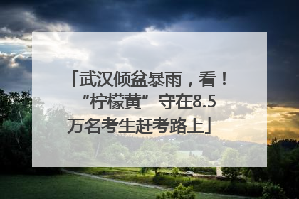 武汉倾盆暴雨，看！“柠檬黄”守在8.5万名考生赶考路上