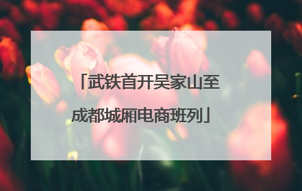 武铁首开吴家山至成都城厢电商班列