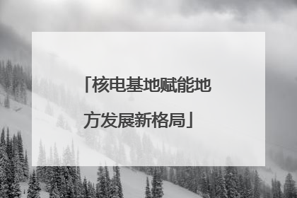 核电基地赋能地方发展新格局
