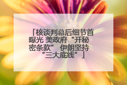 核谈判幕后细节首曝光 美政府“开秘密条款” 伊朗坚持“三大底线”