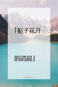 栀子花开的清晨