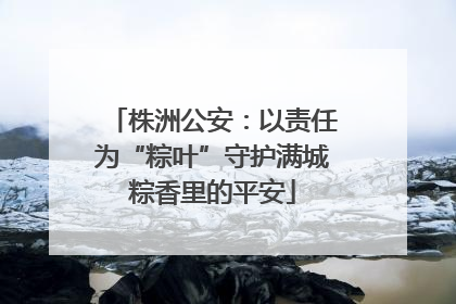 株洲公安：以责任为“粽叶”守护满城粽香里的平安