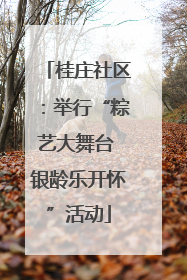桂庄社区：举行“粽艺大舞台 银龄乐开怀”活动