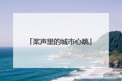 桨声里的城市心跳