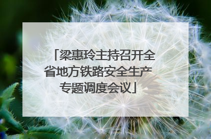 梁惠玲主持召开全省地方铁路安全生产专题调度会议