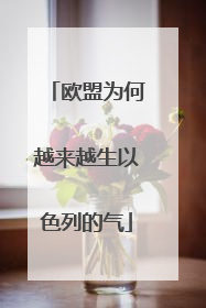 欧盟为何越来越生以色列的气
