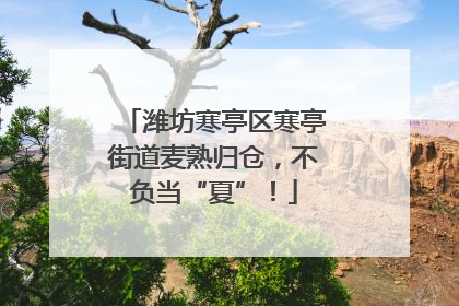 潍坊寒亭区寒亭街道麦熟归仓，不负当“夏”！