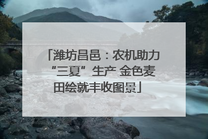 潍坊昌邑：农机助力“三夏”生产 金色麦田绘就丰收图景