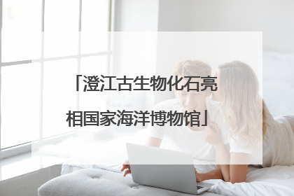 澄江古生物化石亮相国家海洋博物馆