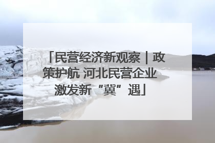 民营经济新观察｜政策护航 河北民营企业激发新“冀”遇