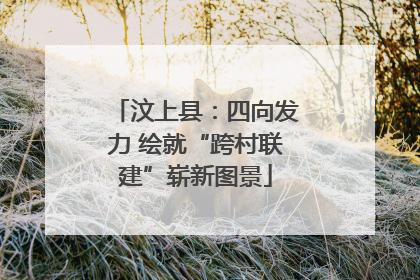 汶上县：四向发力 绘就“跨村联建”崭新图景
