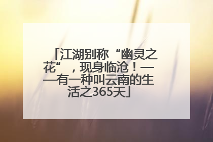 江湖别称“幽灵之花”，现身临沧！——有一种叫云南的生活之365天