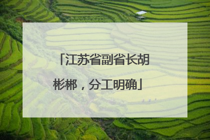 江苏省副省长胡彬郴，分工明确