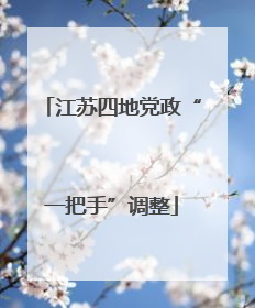 江苏四地党政“一把手”调整