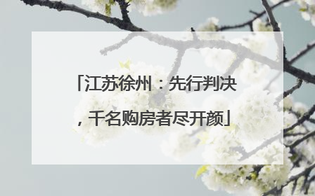 江苏徐州：先行判决，千名购房者尽开颜