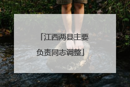 江西两县主要负责同志调整