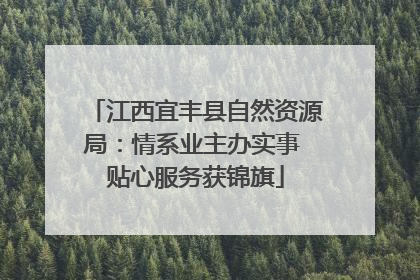 江西宜丰县自然资源局：情系业主办实事 贴心服务获锦旗