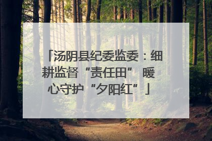 汤阴县纪委监委：细耕监督“责任田” 暖心守护“夕阳红”