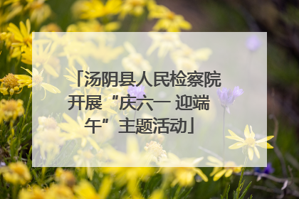 汤阴县人民检察院开展“庆六一 迎端午”主题活动