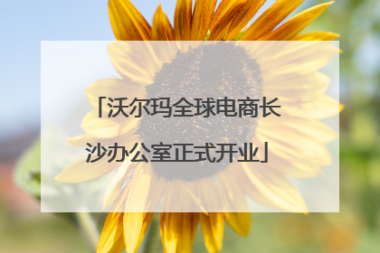 沃尔玛全球电商长沙办公室正式开业