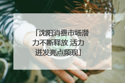 沈阳消费市场潜力不断释放 活力迸发亮点频现