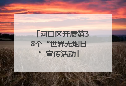 河口区开展第38个“世界无烟日”宣传活动